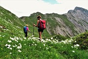 PIZZO ARERA (2512 m) ad anello, salito dalla cresta est e sceso dalla sud il 26 giugno 2018 - FOTOGALLERY